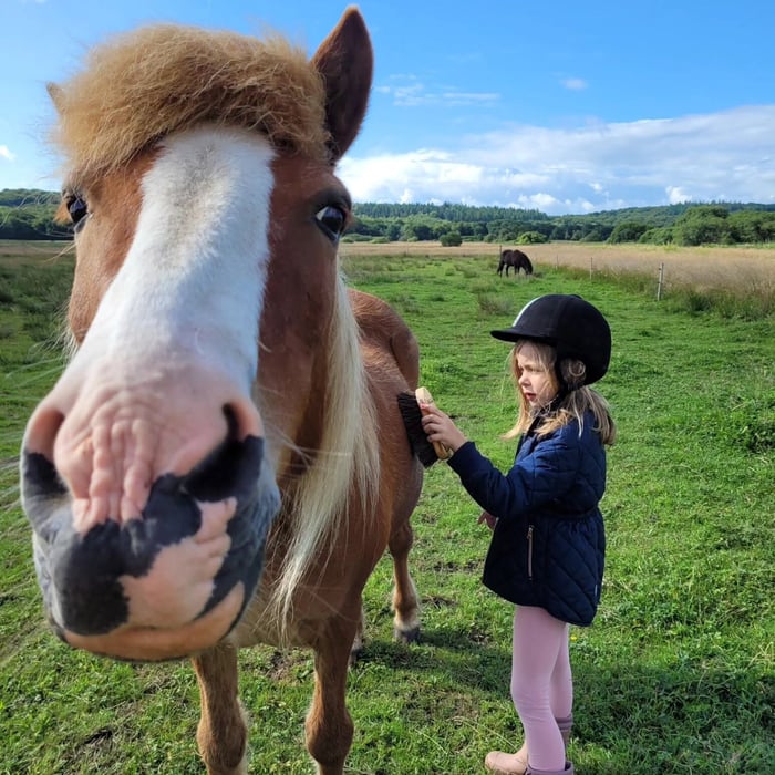 Lille pige strigler en pony på marken ved Trivselsgaarden Lærkevang